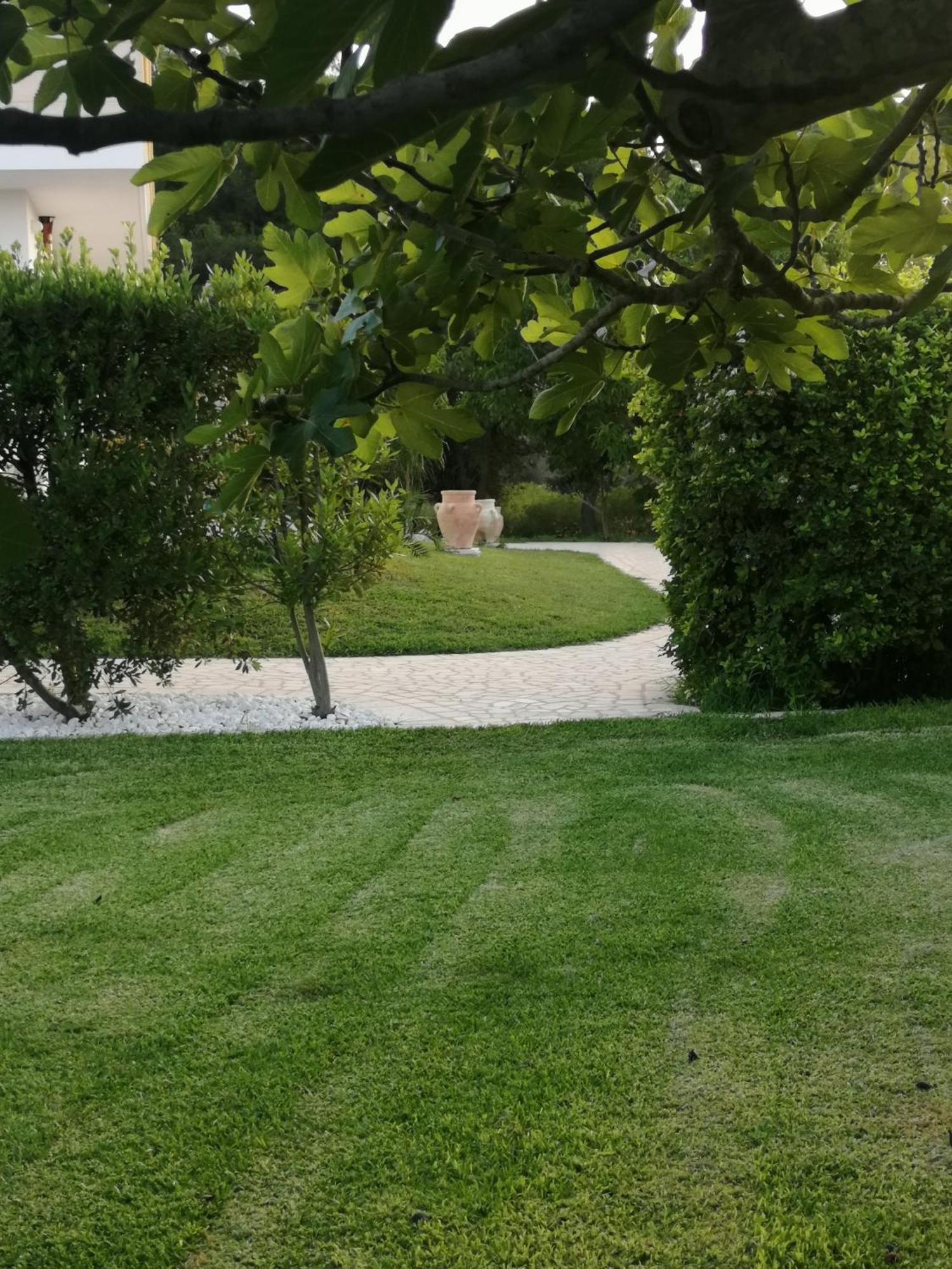 مبيت وإفطار أودجانو لا كييزا Aia Grande المظهر الخارجي الصورة